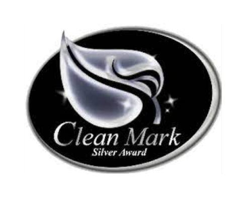 clean mark logo