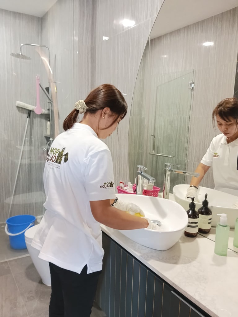 Home Cleaning - Cleaning Wash Sink