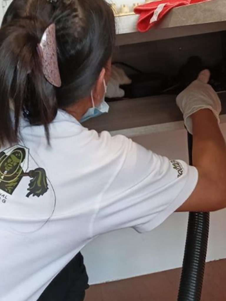 Home Cleaning with Vacuum Cleaner