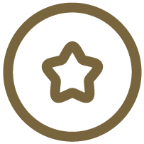 Main Bullet icon