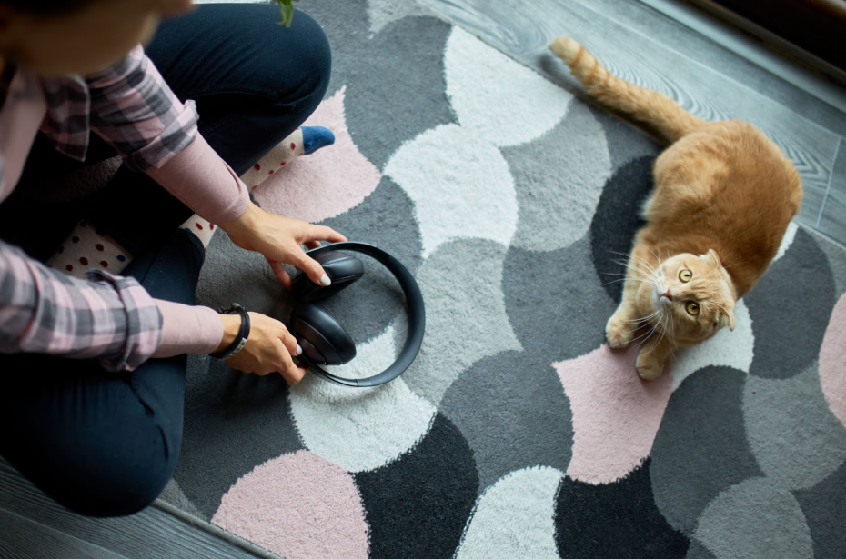 animal carpet cleaning