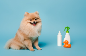 pets and cleaning product
