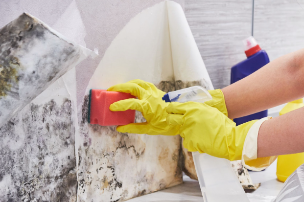 a person cleaning walls using a sponge
